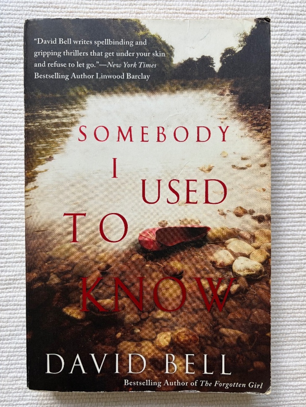 Somebody I Used To Know DAVID BELL Paperback Book
